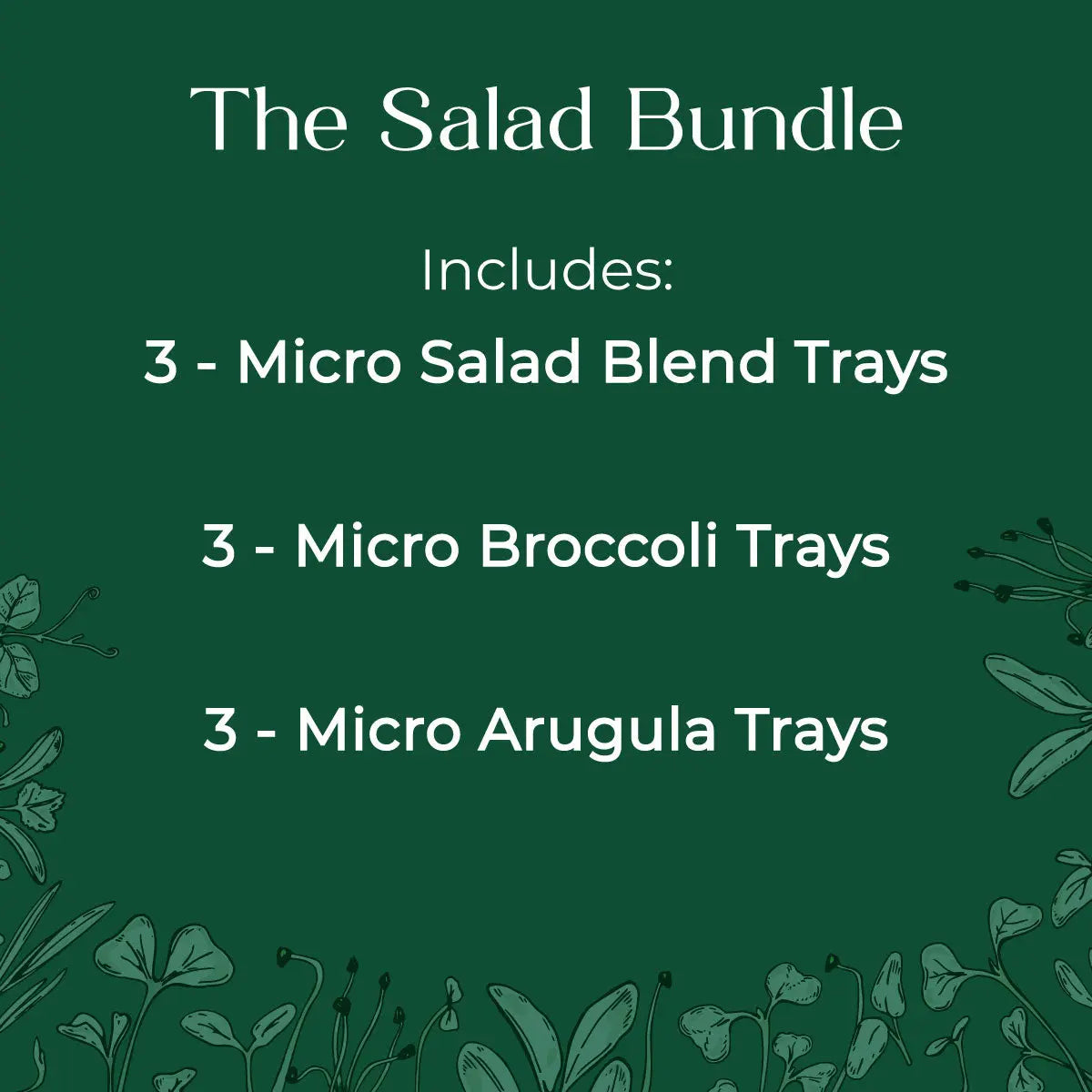 Salad Bundle - 9 Tray Pack