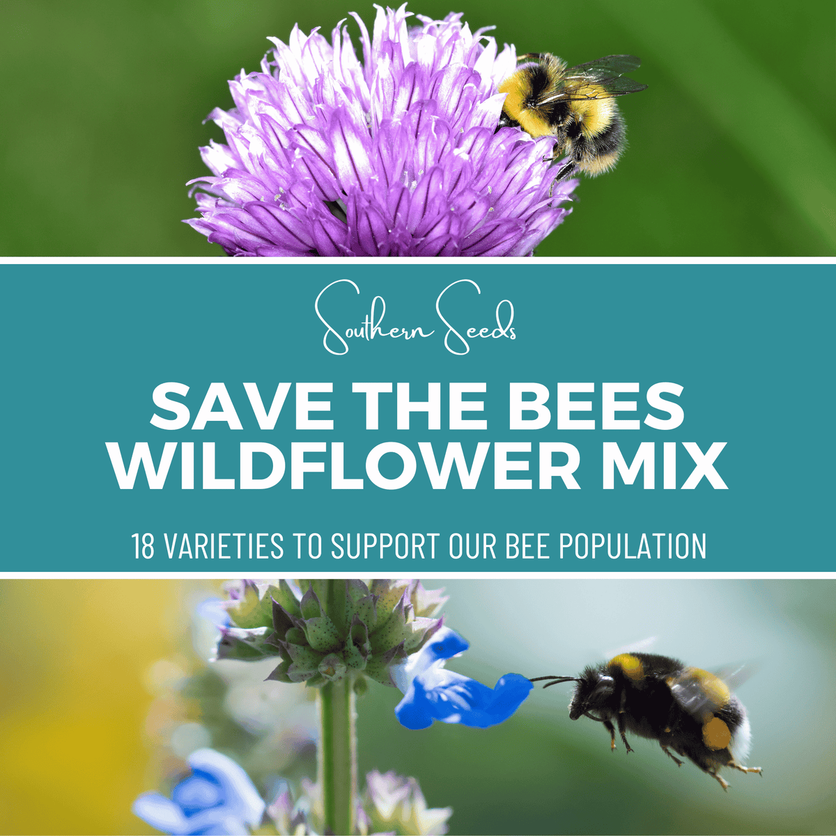 Wildflower Seed Mix for Bees and Pollinators – 1,000 Heirloom, Open Pollinated, Non-GMO Seeds, Attracts Bees & Butterflies
