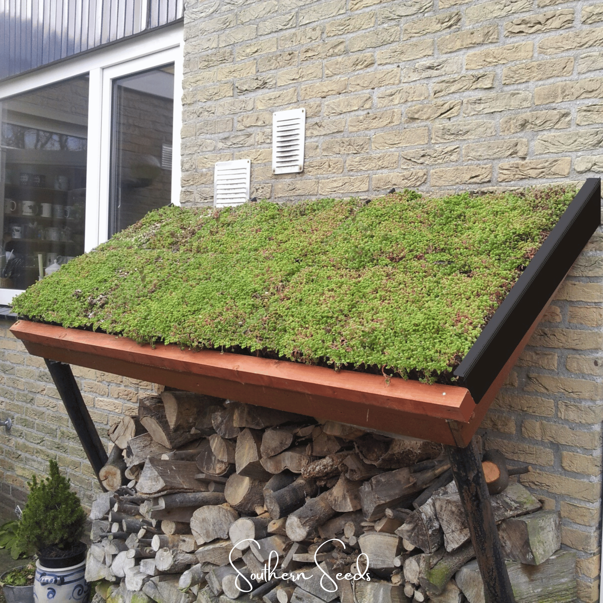 Sedum Roof Mix – 500 Seeds