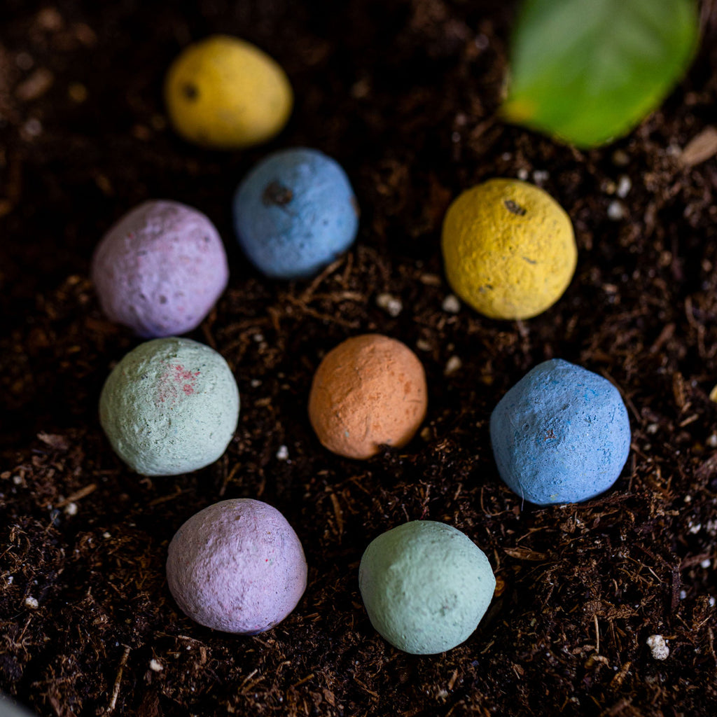 Western Wildflower Garden Confetti Seed Balls