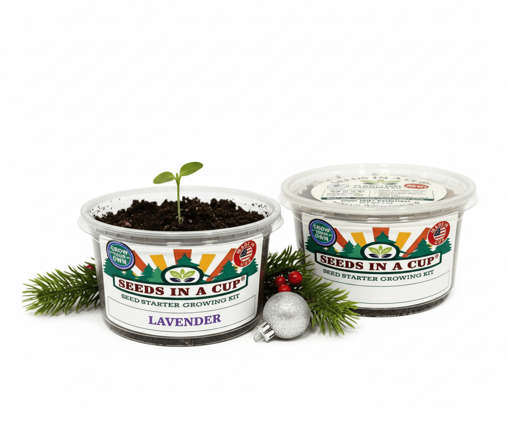 Lavender Grow Kit | Grow Fresh Lavender from Seed | Seeds In A Cup®