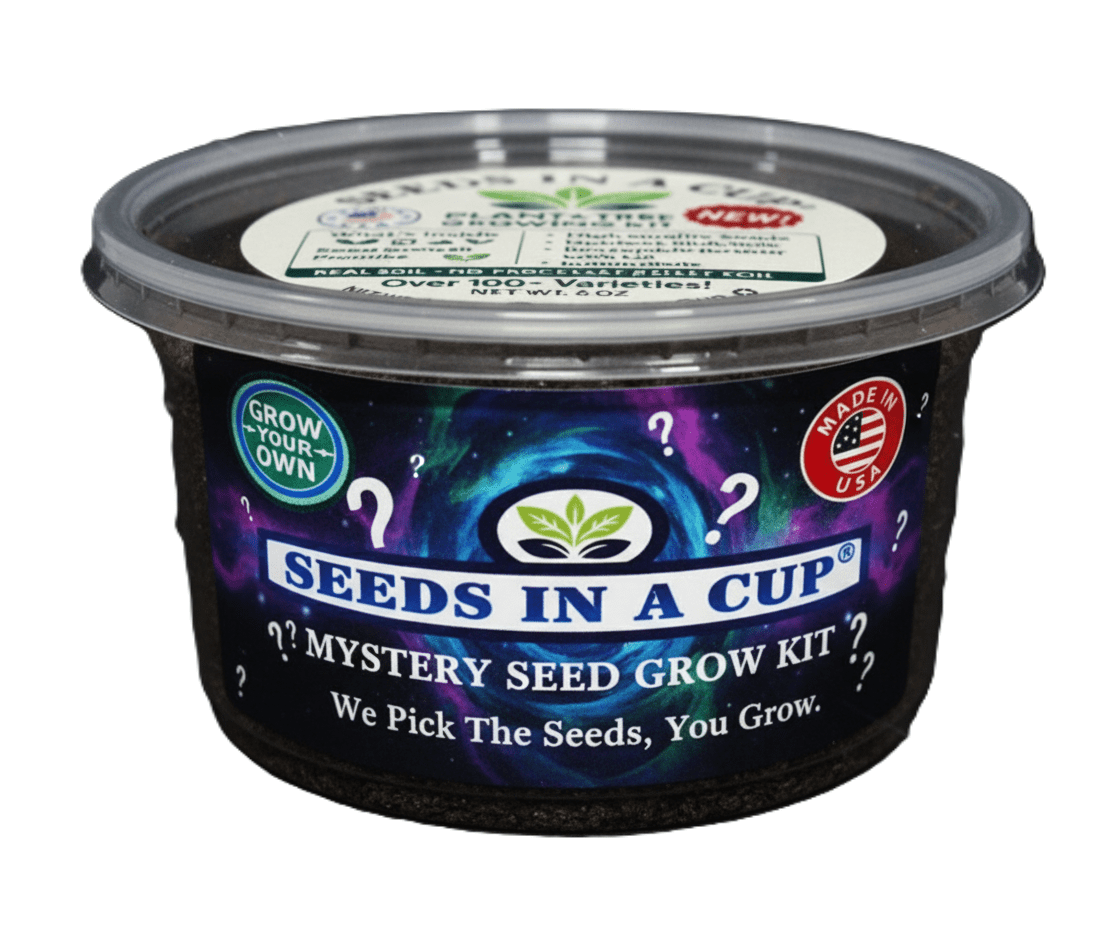 Mystery Tree Grow Kit - Give The Unique Gift Of Nature to Anyone!