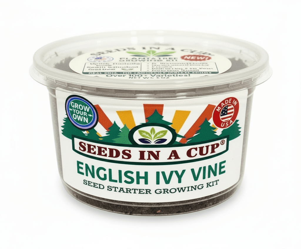 Cumin Grow Kit | Grow Fresh Cumin from Seed | Seeds In A Cup®