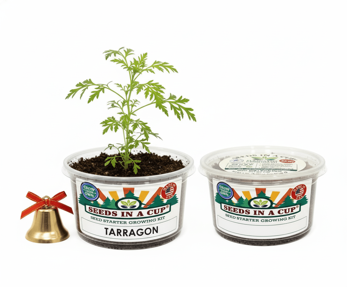 Tarragon Grow Kit | Grow Fresh Tarragon from Seed | Seeds In A Cup®