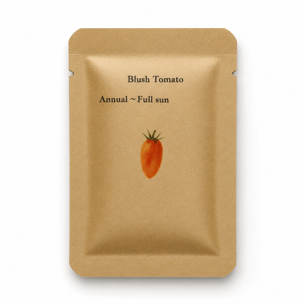 Blush Tomato Seeds – Heirloom Striped Orange-Yellow Plum, Open Pollinated, 25 Count