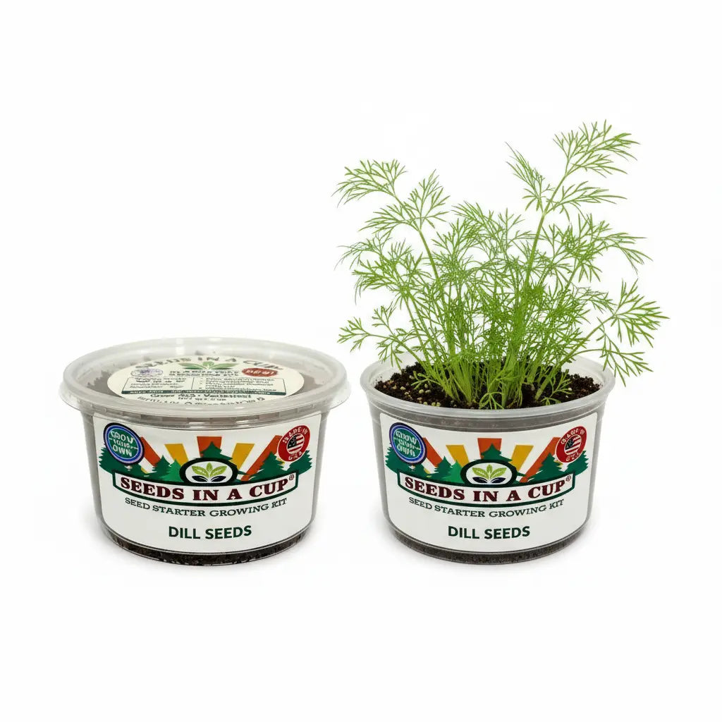 Dill Grow Kit | Grow Fresh Dill from Seed | Seeds In A Cup®