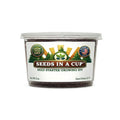 Onion Grow Kit | Grow Onion from Seed | Seeds In A Cup®