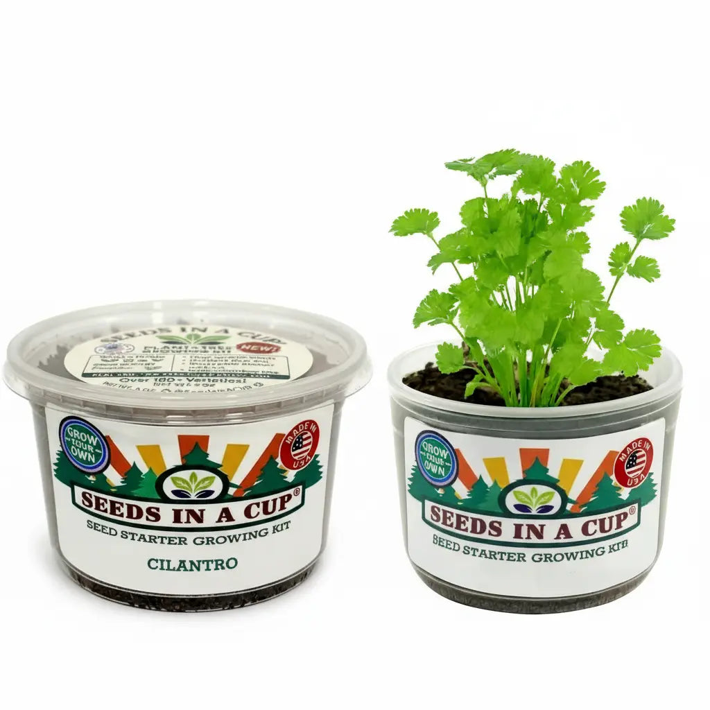 Papaya Grow Kit | Grow Your Own Papaya from Seed | Seeds In A Cup®