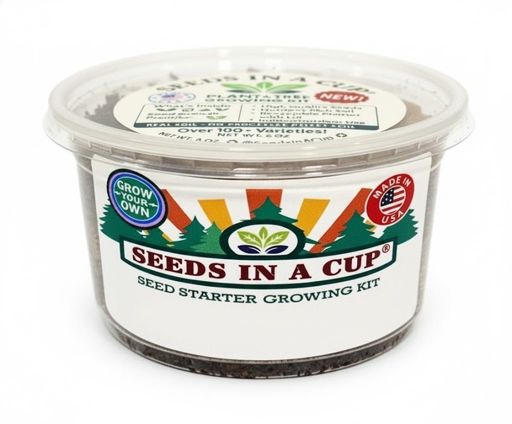 Onion Grow Kit | Grow Onion from Seed | Seeds In A Cup®