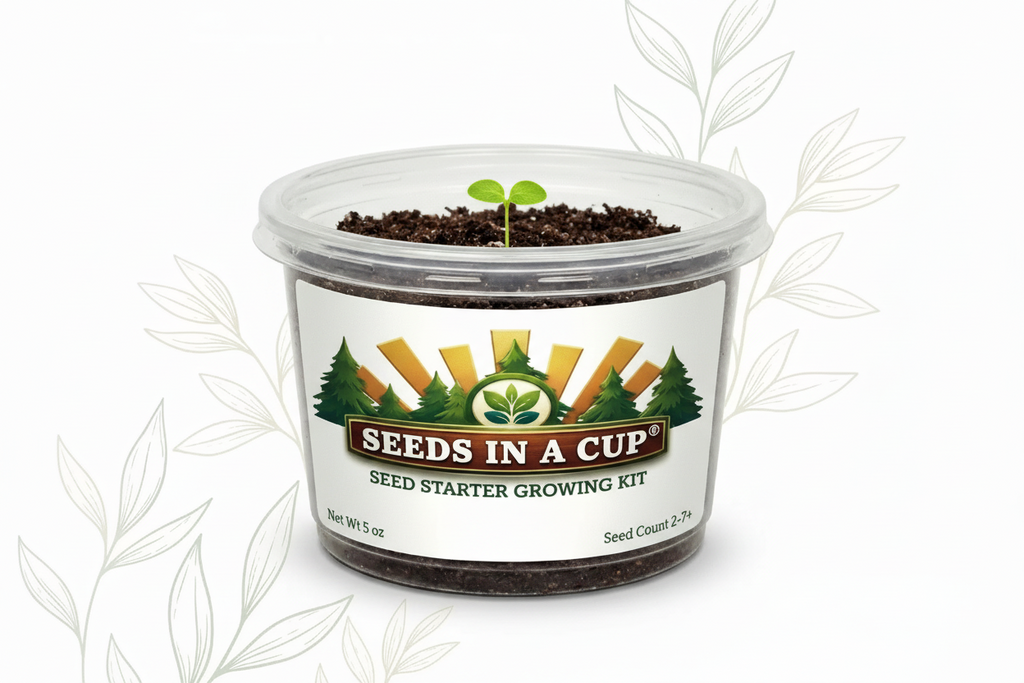 Loofah Grow Kit | Grow Natural Bath Sponges from Seed | Seeds In A Cup®