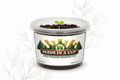 Loofah Grow Kit | Grow Natural Bath Sponges from Seed | Seeds In A Cup®