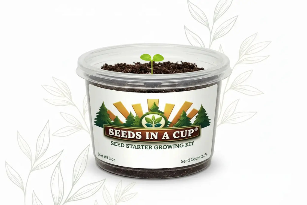 Anise Grow Kit | Grow Fresh Anise from Seed | Seeds In A Cup®