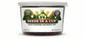 American Holly Grow Kit | Grow Holly from Seed | Seeds In A Cup®