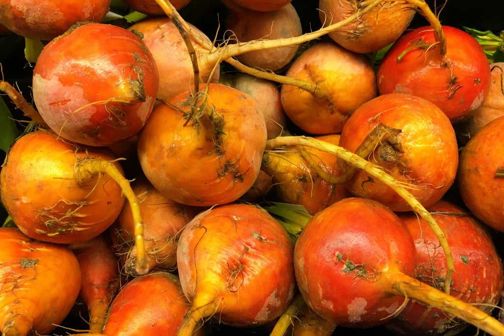 30 BURPEE'S GOLDEN BEET Beta Vulgaris Yellow Root Vegetable Seeds
