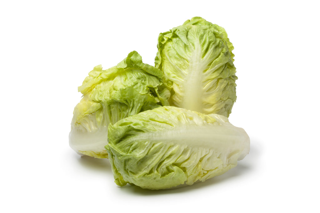 3000 LITTLE GEM LETTUCE Small Romaine Butterhead Lactuca Sativa Vegetable Seeds