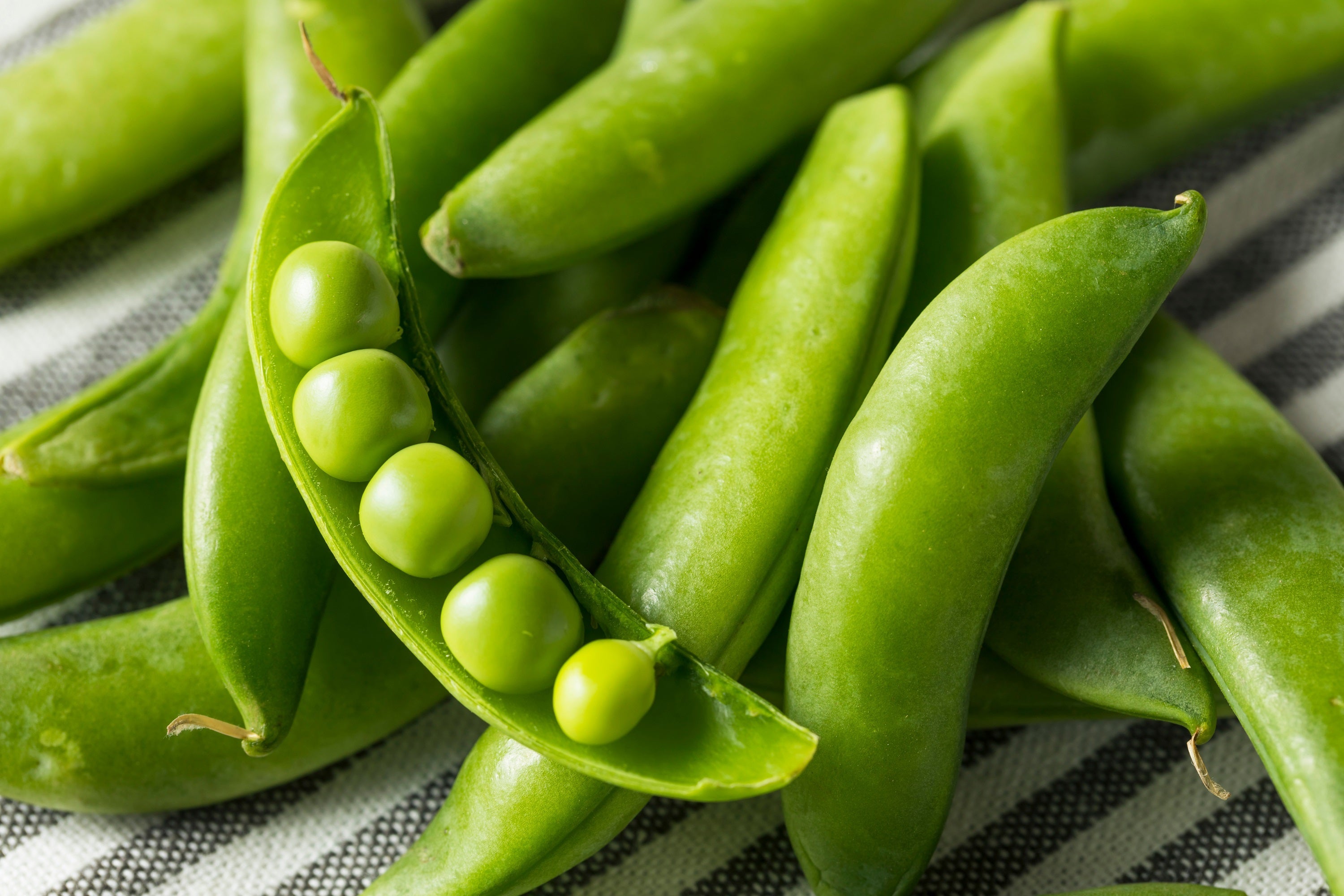 50 SUGAR ANN PEA Stringless Sweet Green Snap Pisum Sativum Vegetable Seeds