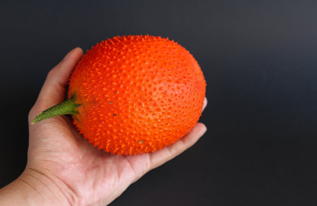 2 GAC FRUIT Gac Melon Vine Momordica Cochinchinensis Seeds