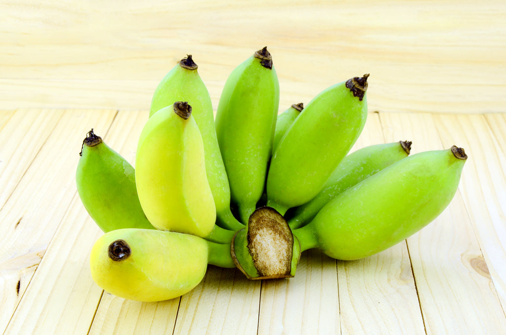 5 PLANTAIN BANANA Musa Balbisiana Hardy Red Flowering Sweet Wild Fruit Tree Seeds