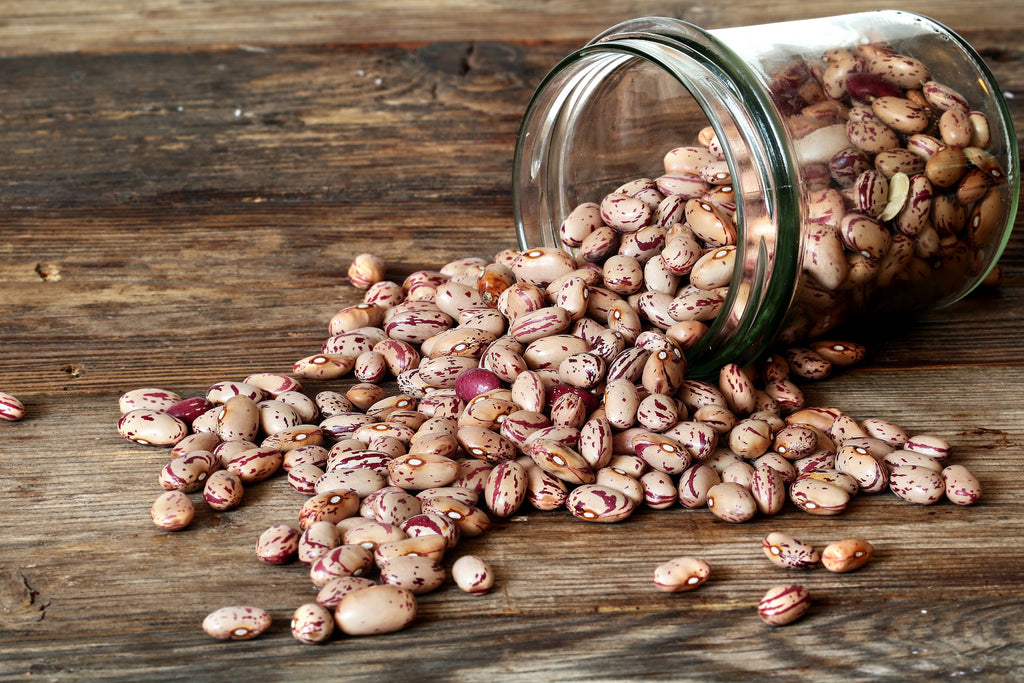 50 CRANBERRY BEAN French Horticulture Borlotti Roman Phaseolus Vegetable Seeds