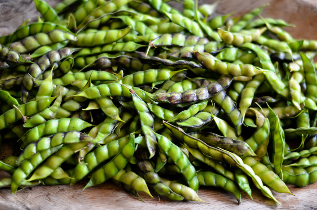 30 PIGEON PEA Dhal Gungo Puerto Rico Bean Cajanus Cajan Vegetable Seeds