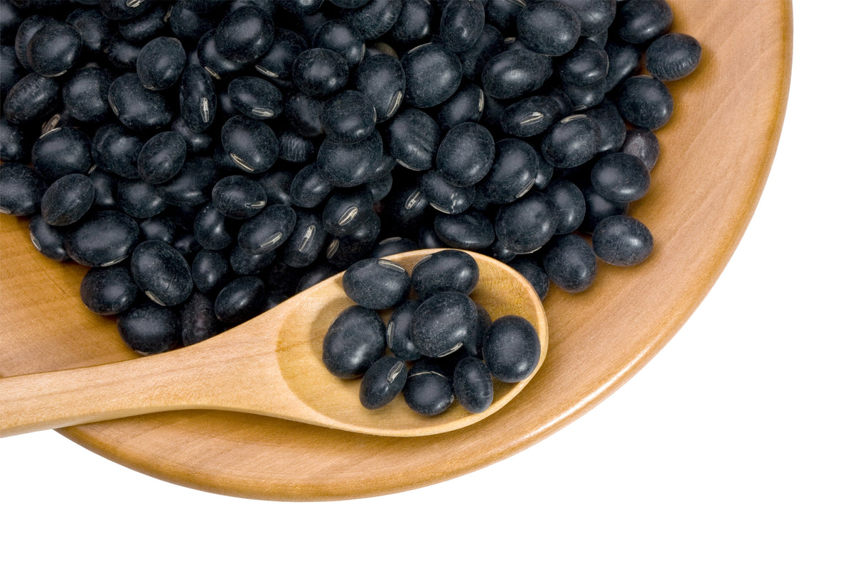 Netre Bhena 20 Organic Sweet KOREAN BLACK SOYBEAN Glycine Max Edamame Soy Bean Veg ...
