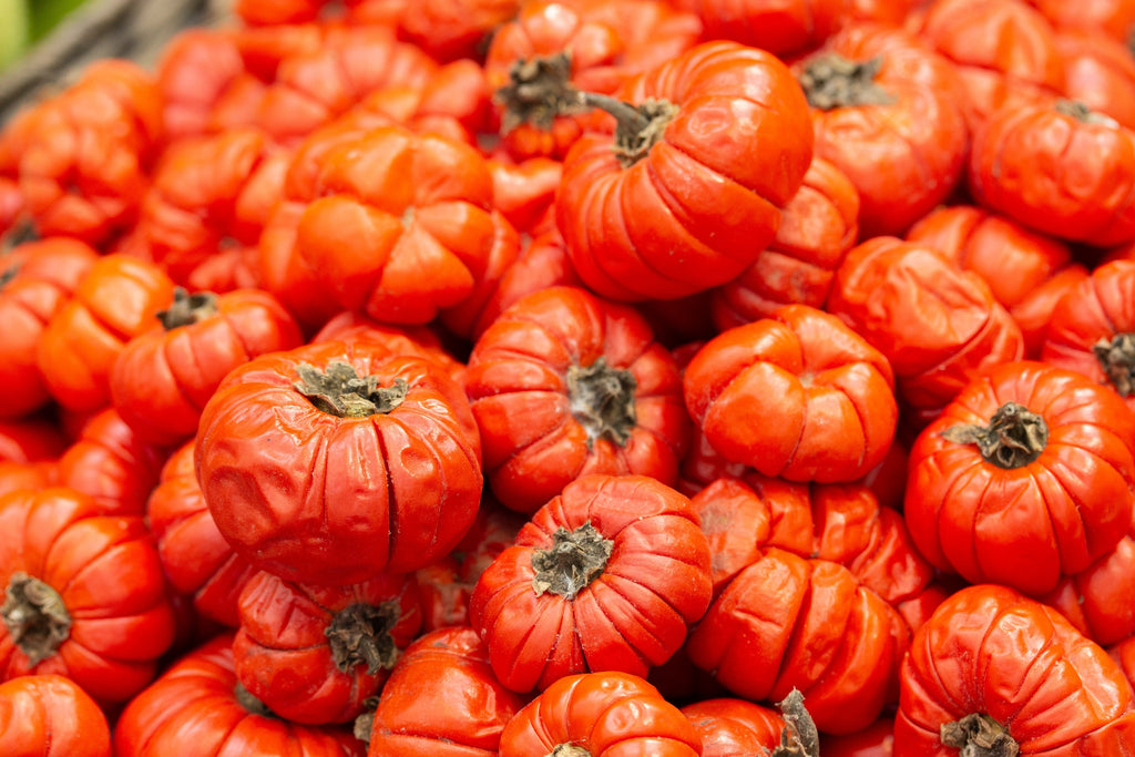 25 RUFFLED RED EGGPLANT Pumpkin On A Stick Edible & Ornamental Solanum Melongena Seeds