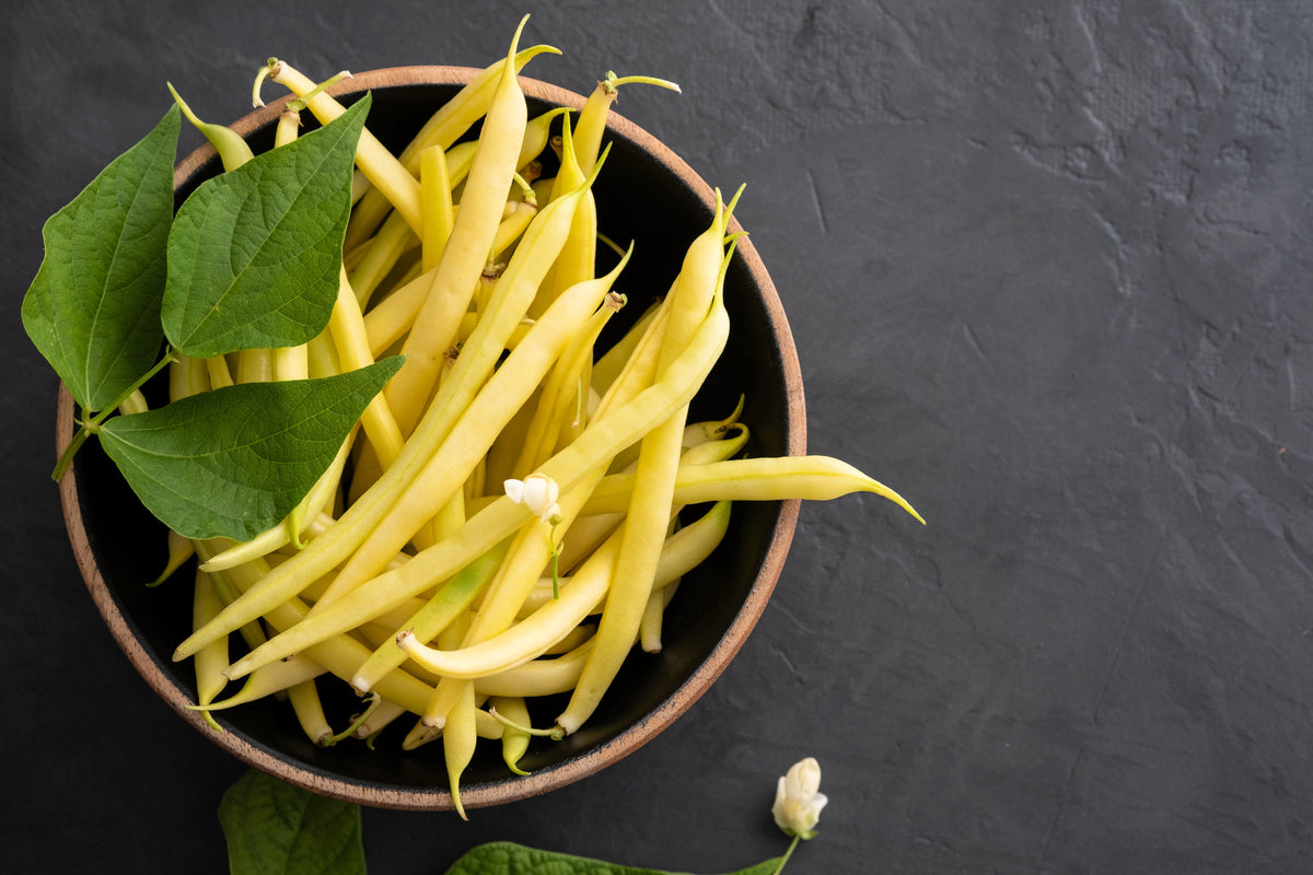 Netre Bhena 25 GOLDRUSH GREEN BEAN Bright Yellow Wax Bean Phaseolus Vulgaris Veget ...