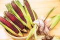 35 BLOODY BUTCHER Red CORN Edible & Ornamental Heirloom Zea Mays Vegetable Seeds