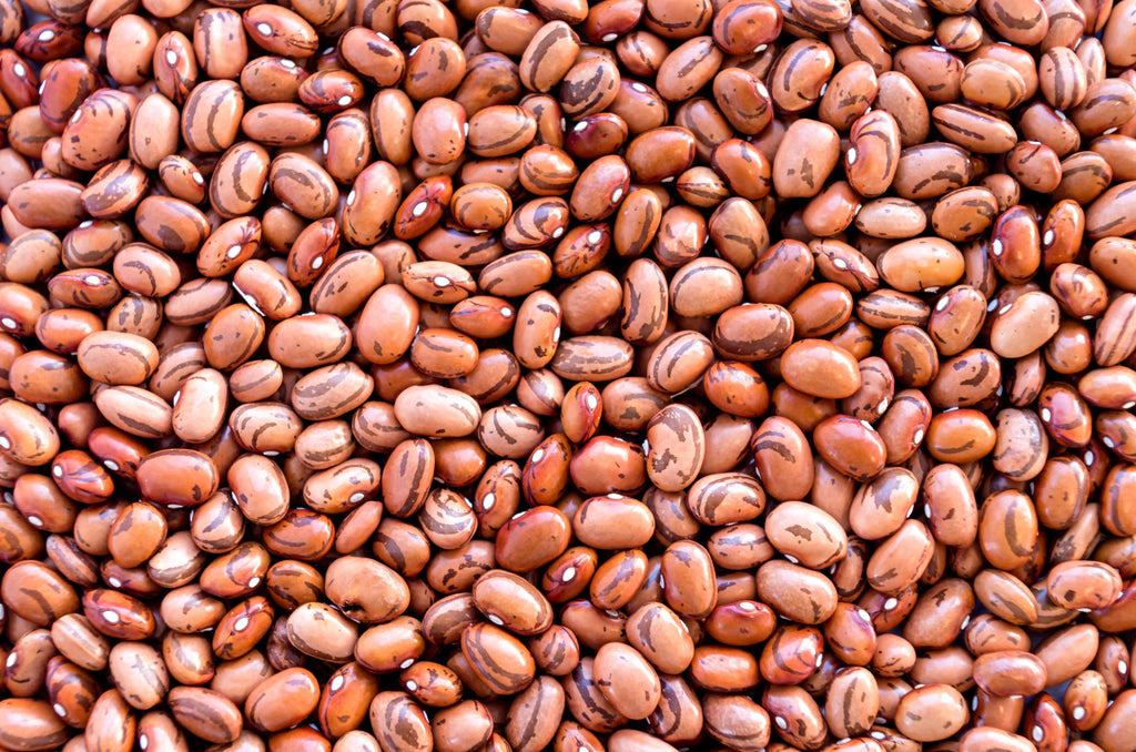 50 PINTO BEAN Phaseolus Vulgaris Vegetable Seeds