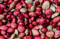50 Speckled Dixie BUTTERPEA LIMA BEAN Phaseolus Vulgaris Bush Vegetable Seeds