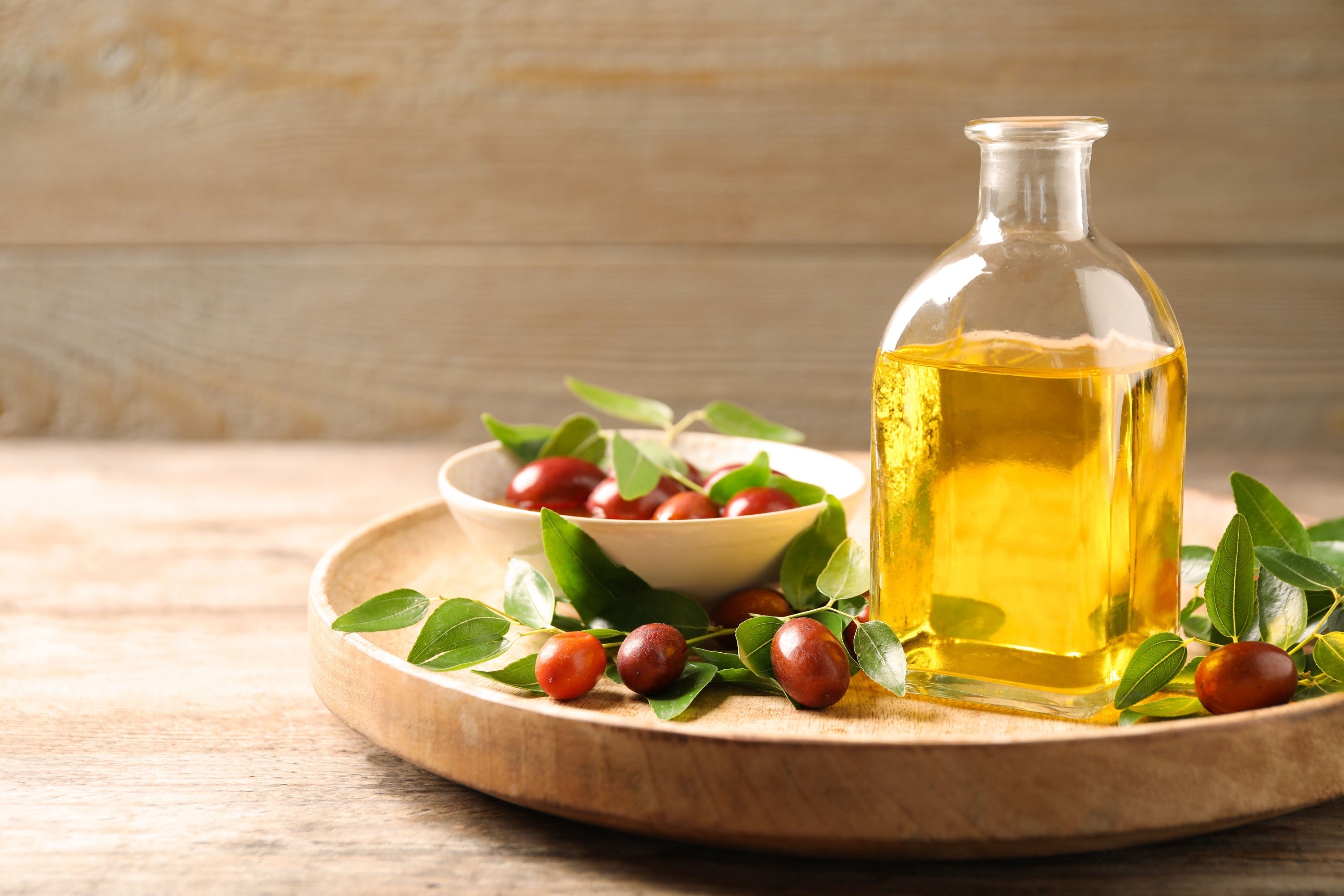 5 JOJOBA Simmondsia Chinensis Fruit Nut Oil Evergreen Shrub Seeds