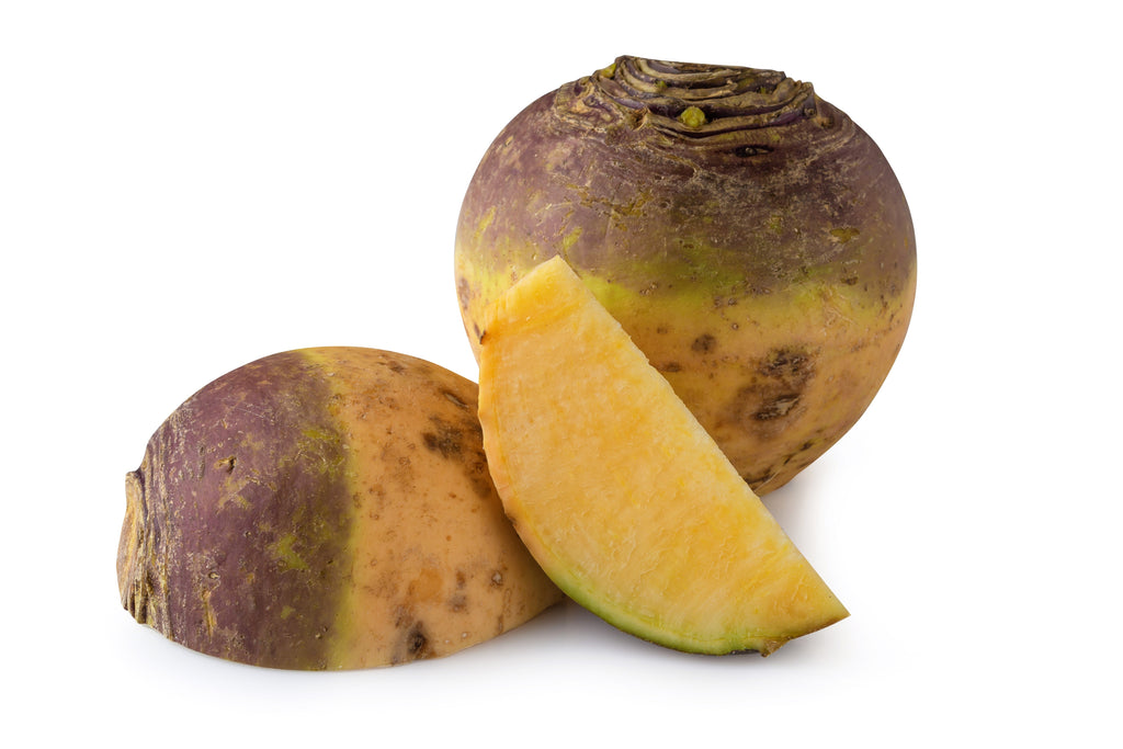 1500 American PURPLE TOP RUTABAGA Brassica Napus Root Vegetable & Greens Seeds