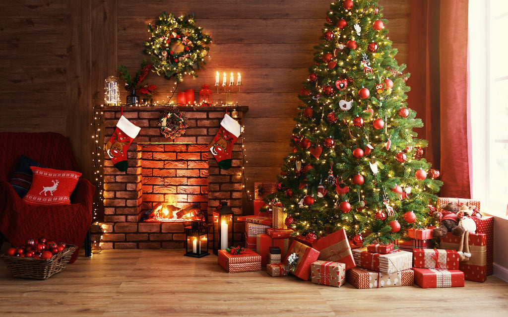 Grow Your Own CHRISTMAS TREE COLLECTION - 4 Gift Packets of Tree Seeds - Fraser Fir, Balsam Fir, Douglas Fir, & Blue Spruce + Free Gift Bag