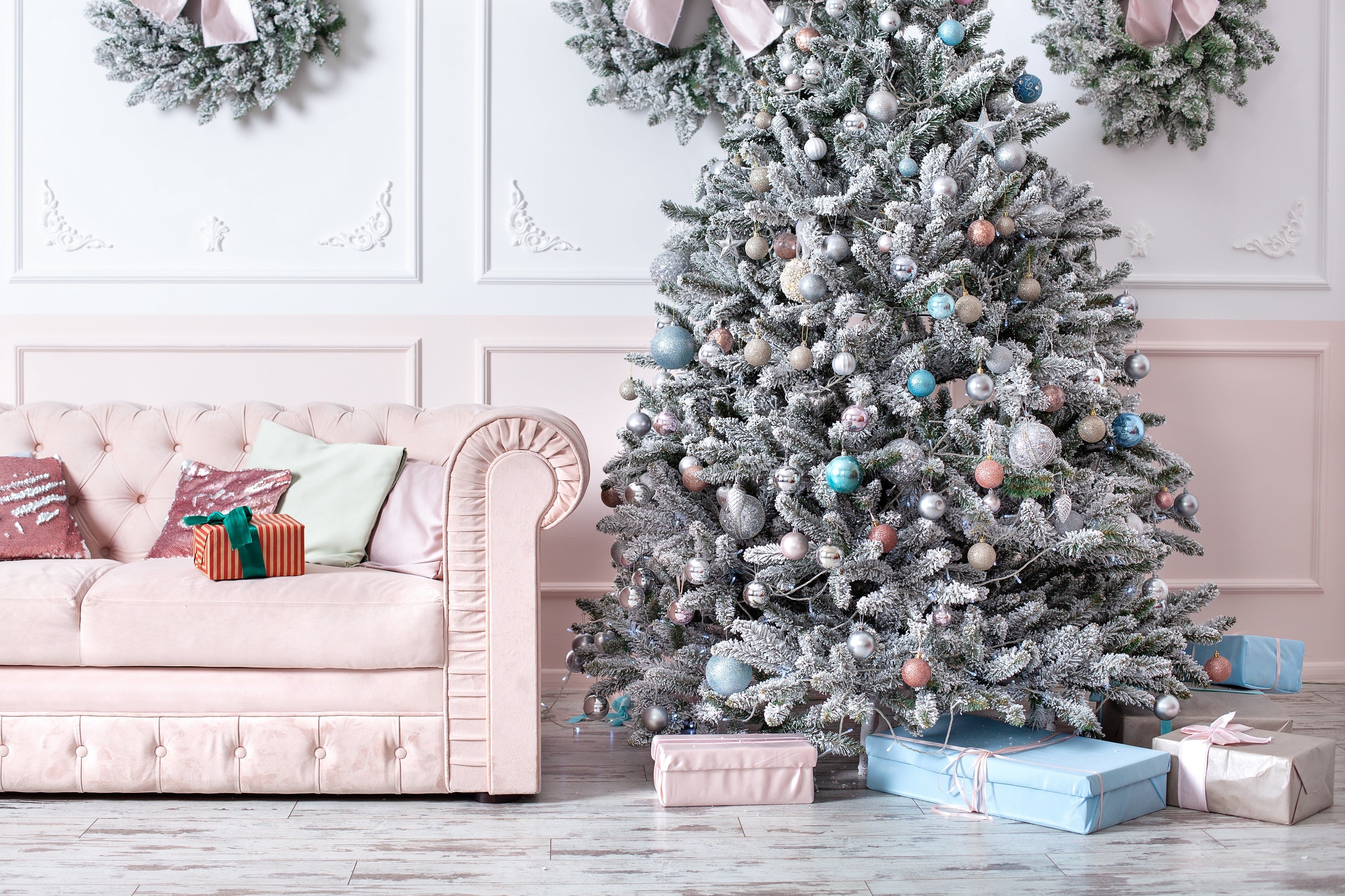 Grow Your Own CHRISTMAS TREE COLLECTION - 4 Gift Packets of Tree Seeds - Fraser Fir, Balsam Fir, Douglas Fir, & Blue Spruce + Free Gift Bag