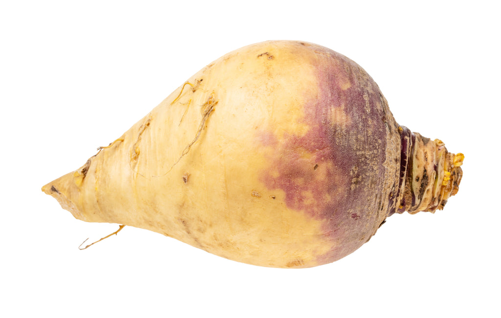 3000 LAURENTIAN RUTABAGA Brassica Napus Vegetable Seeds