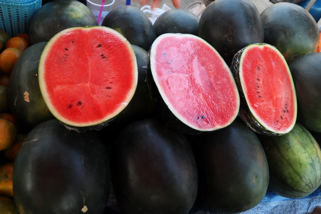 100 SUGAR BABY WATERMELON Citrullus lanatus Fruit Melon Seeds