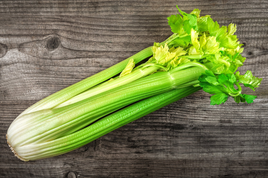 1000 TENDERCRISP CELERY Stalks & Leaves Apium Graveolens Vegetable Seeds