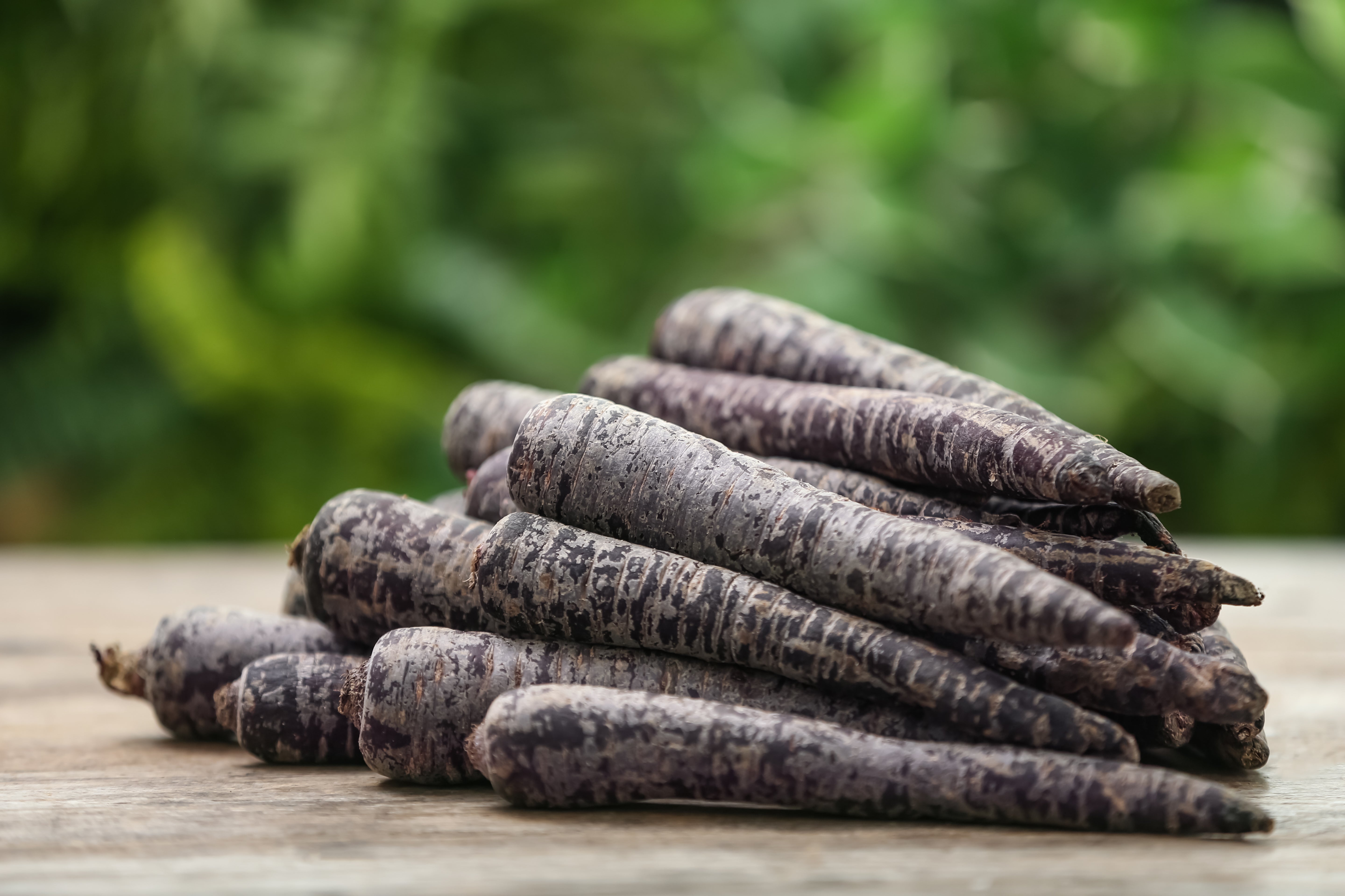 300 BLACK NEBULA CARROT Daucus Carota Root Vegetable Seeds – Nate's ...