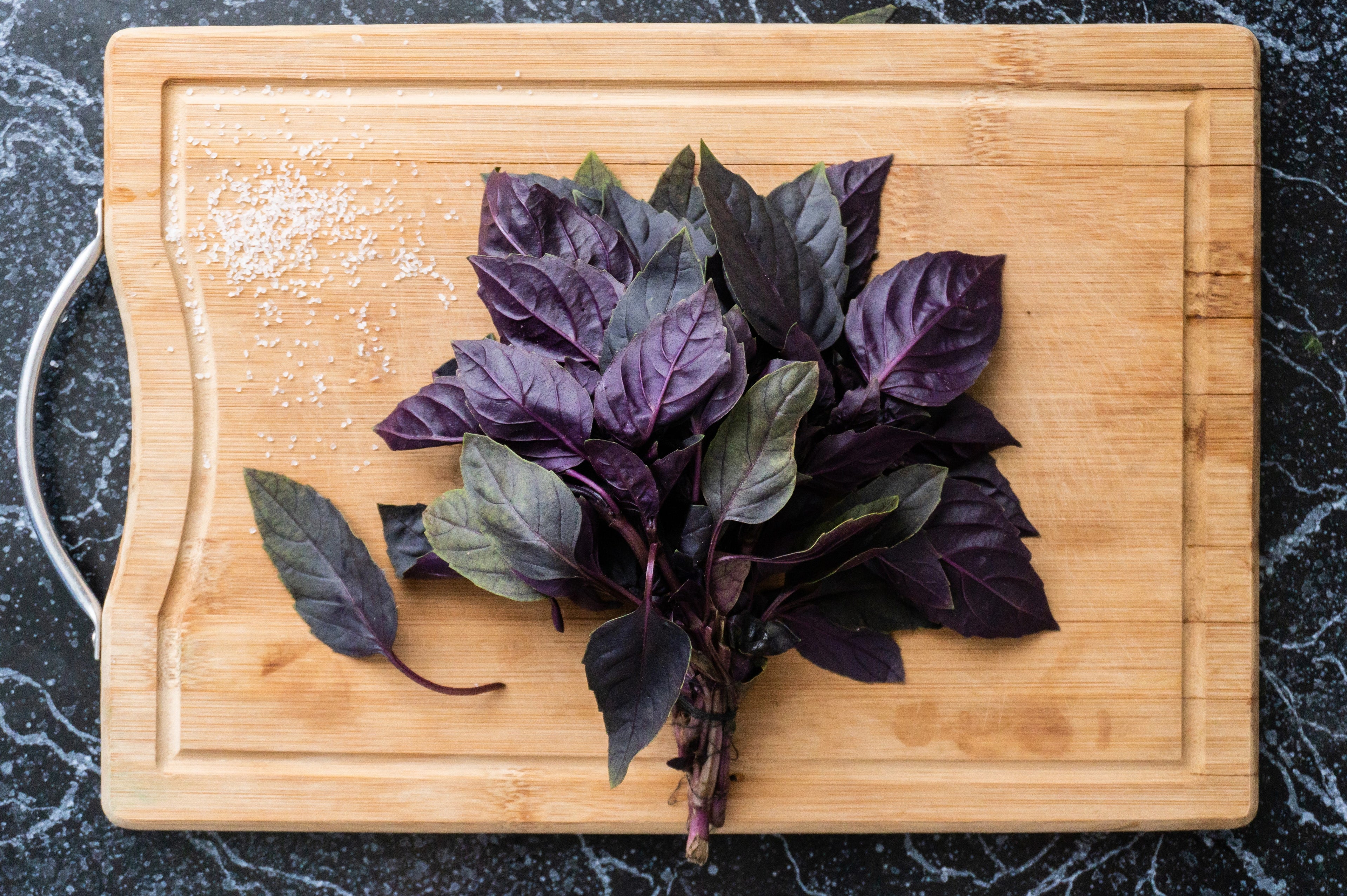 500 DARK OPAL BASIL (Purple Ruffles) Ocimum Basilicum Herb Flower Seeds