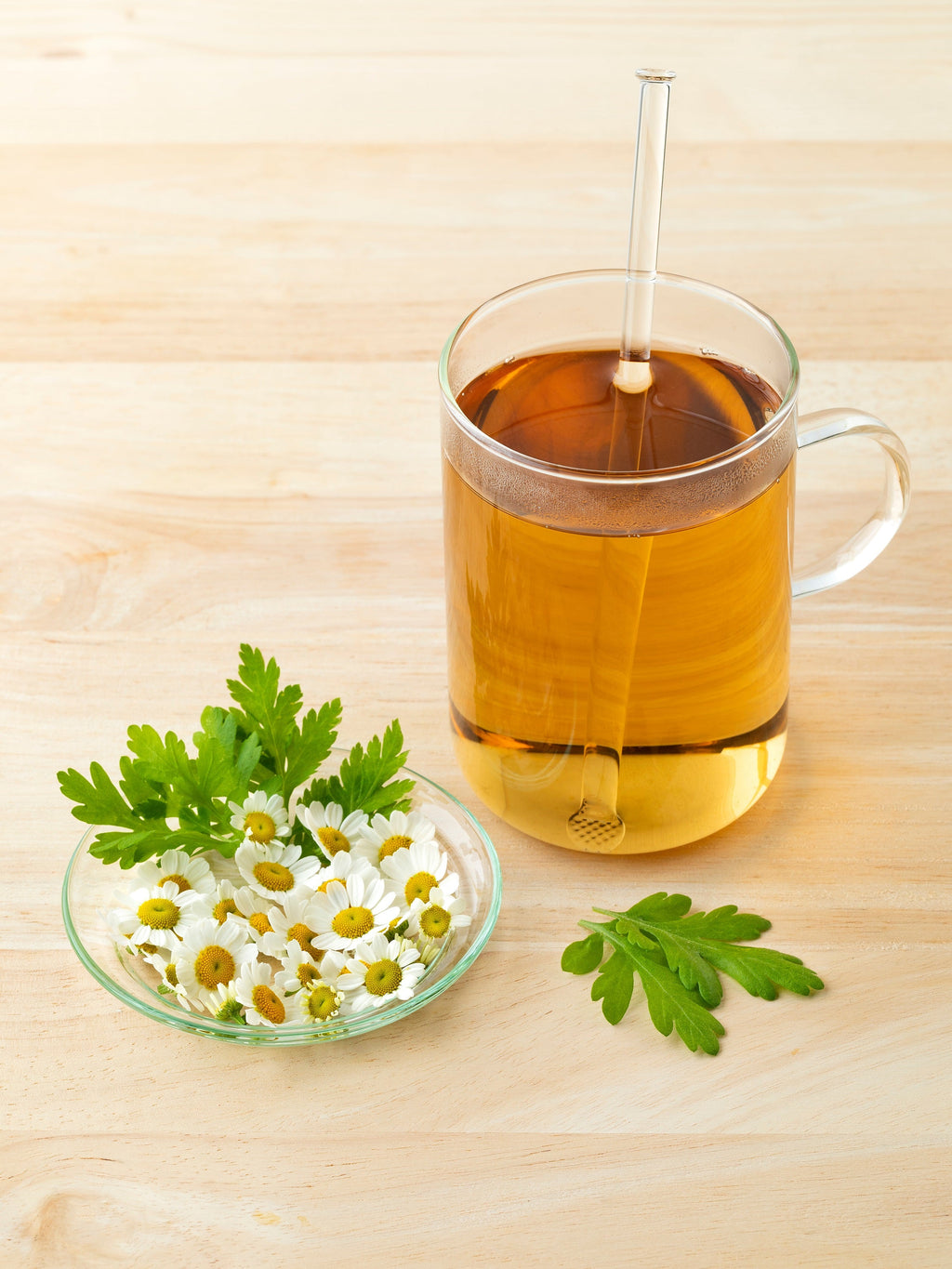 300 FEVERFEW Tanacetum Parthenium Herb Flower Seeds