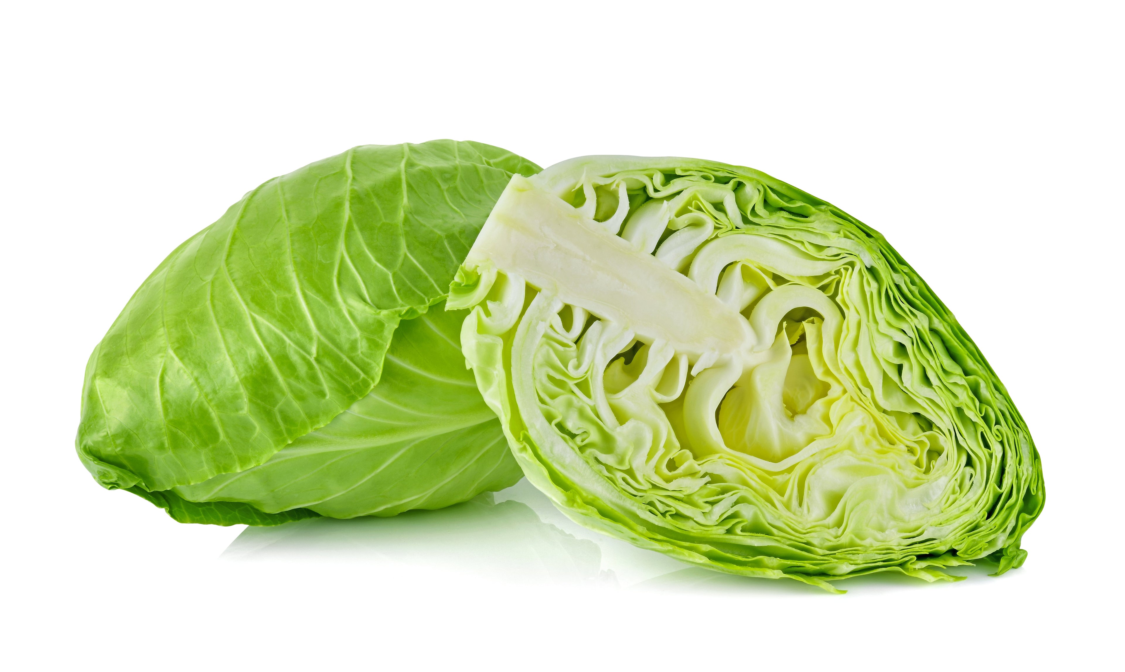 500 Early JERSEY WAKEFIELD CABBAGE Brassica Oleracea Capitata Vegetable Seeds