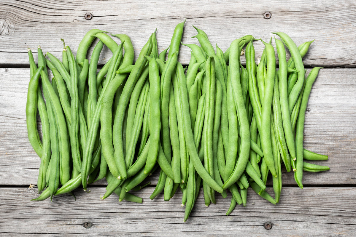 Netre Bhena 50 BURPEE STRINGLESS Green Pod BEAN French Phaseolus Vulgaris Vegetabl ...