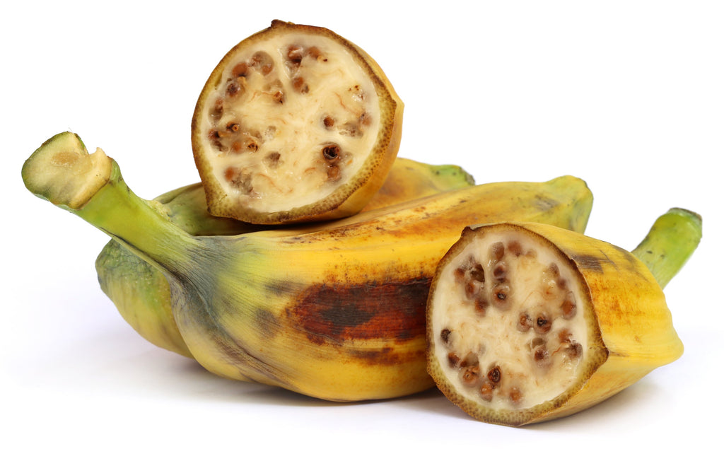 5 PLANTAIN BANANA Musa Balbisiana Hardy Red Flowering Sweet Wild Fruit Tree Seeds