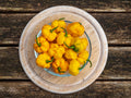 40 Yellow JAMAICAN HOT PEPPER Capsicum Chinense Scotch Bonnet Vegetable Seeds
