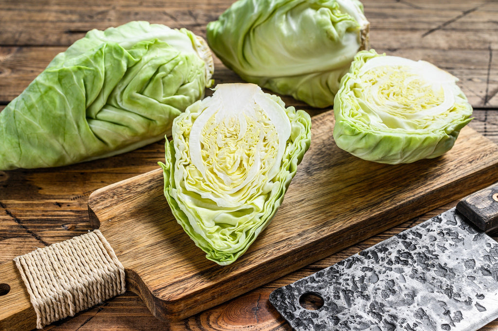 300 CHARLESTON WAKEFIELD CABBAGE Heirloom Cone Brassica Oleracea Vegetable Seeds
