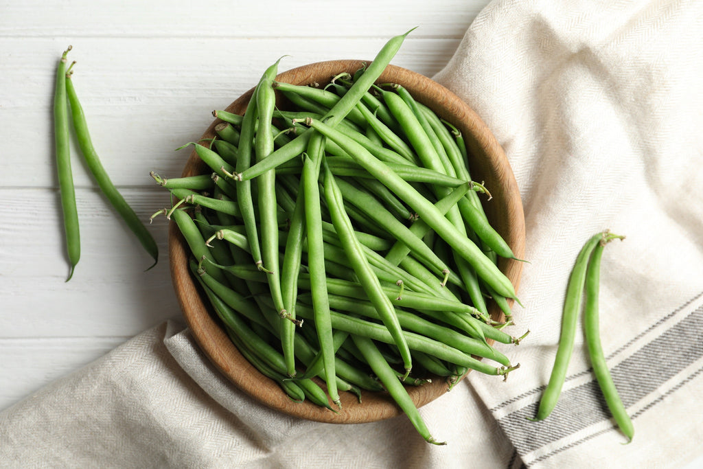 40 GREEN BEAN PROVIDER Phaseolus Vulgaris Vegetable Seeds