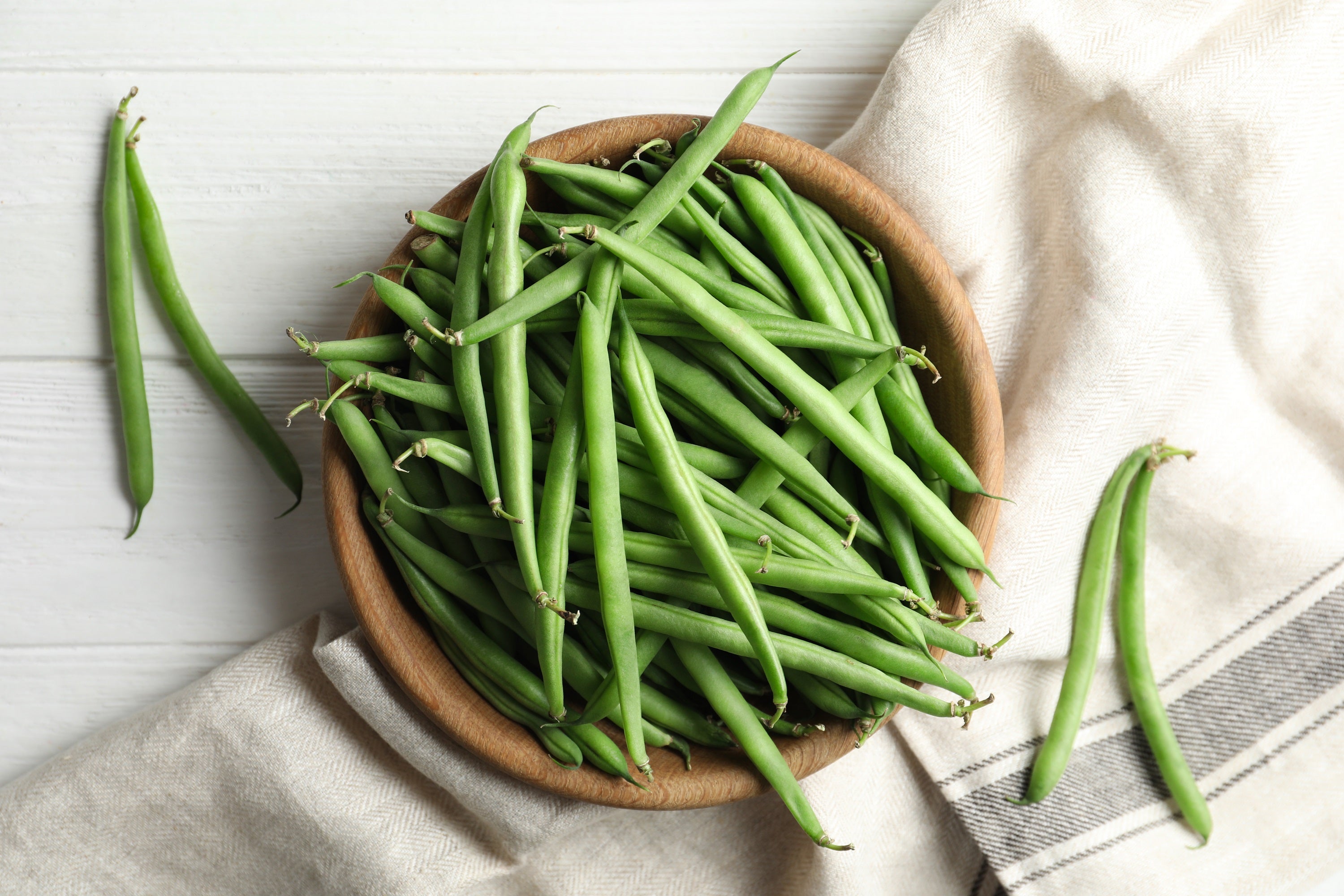40 GREEN BEAN PROVIDER Phaseolus Vulgaris Vegetable Seeds
