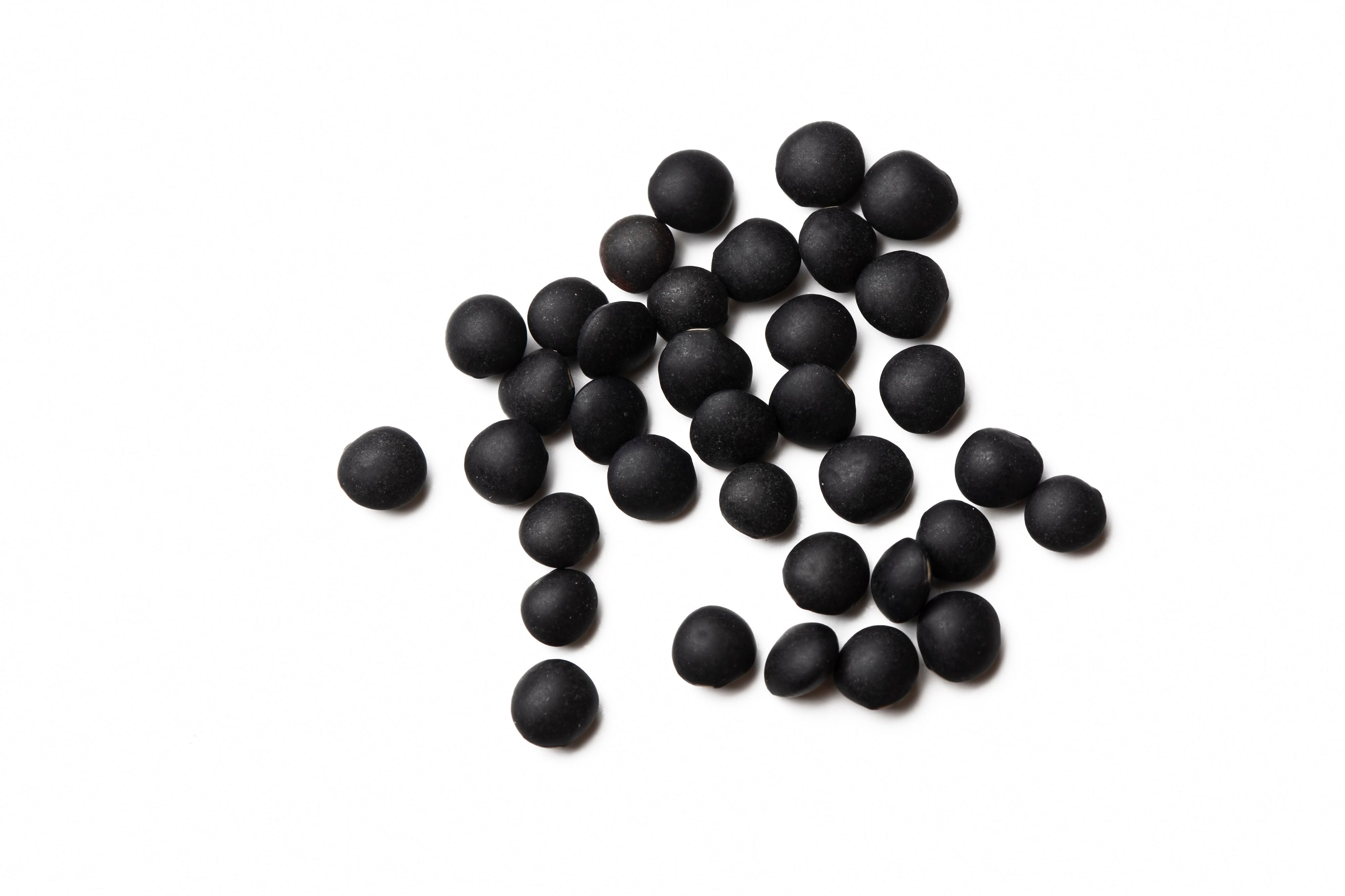 100 BLACK LENTIL Bush Lens Culinaris Vegetable Legume Sprouts Seeds