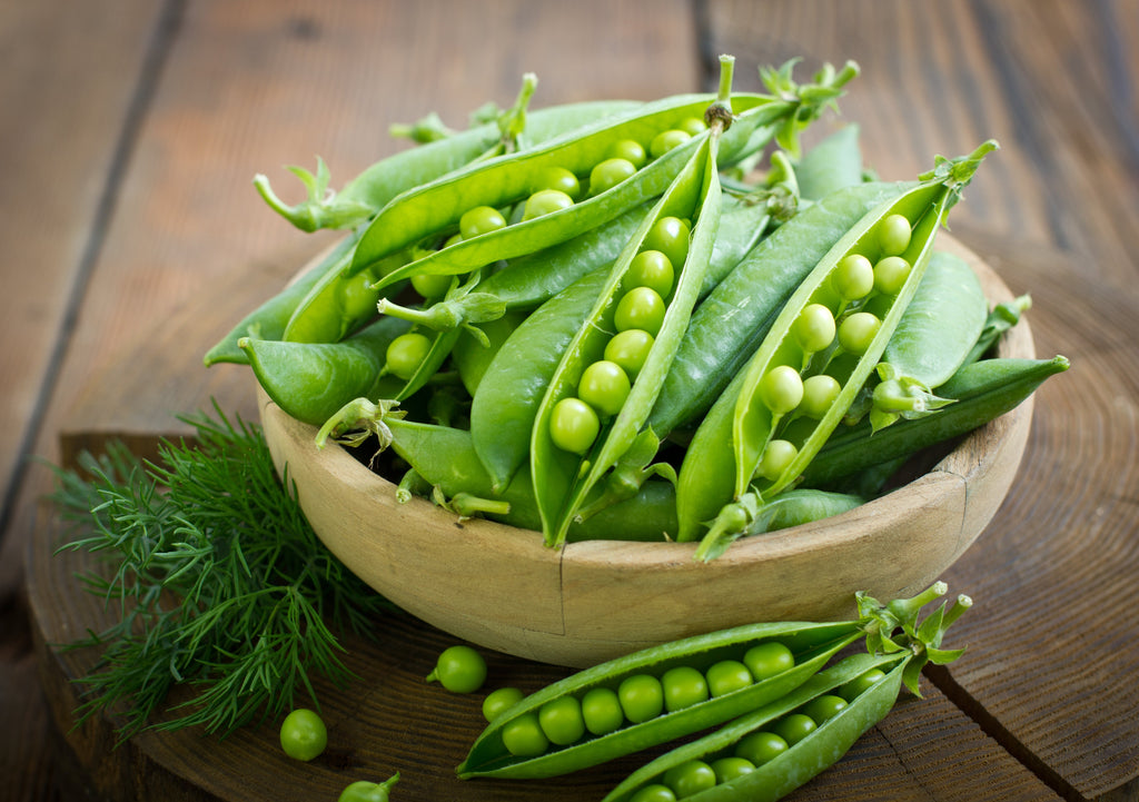 50 SUGAR ANN PEA Stringless Sweet Green Snap Pisum Sativum Vegetable Seeds