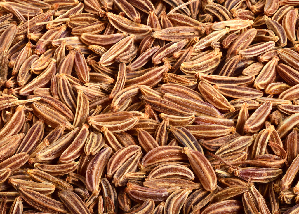 400 CARAWAY Carum Carvi HERB Flower Seeds